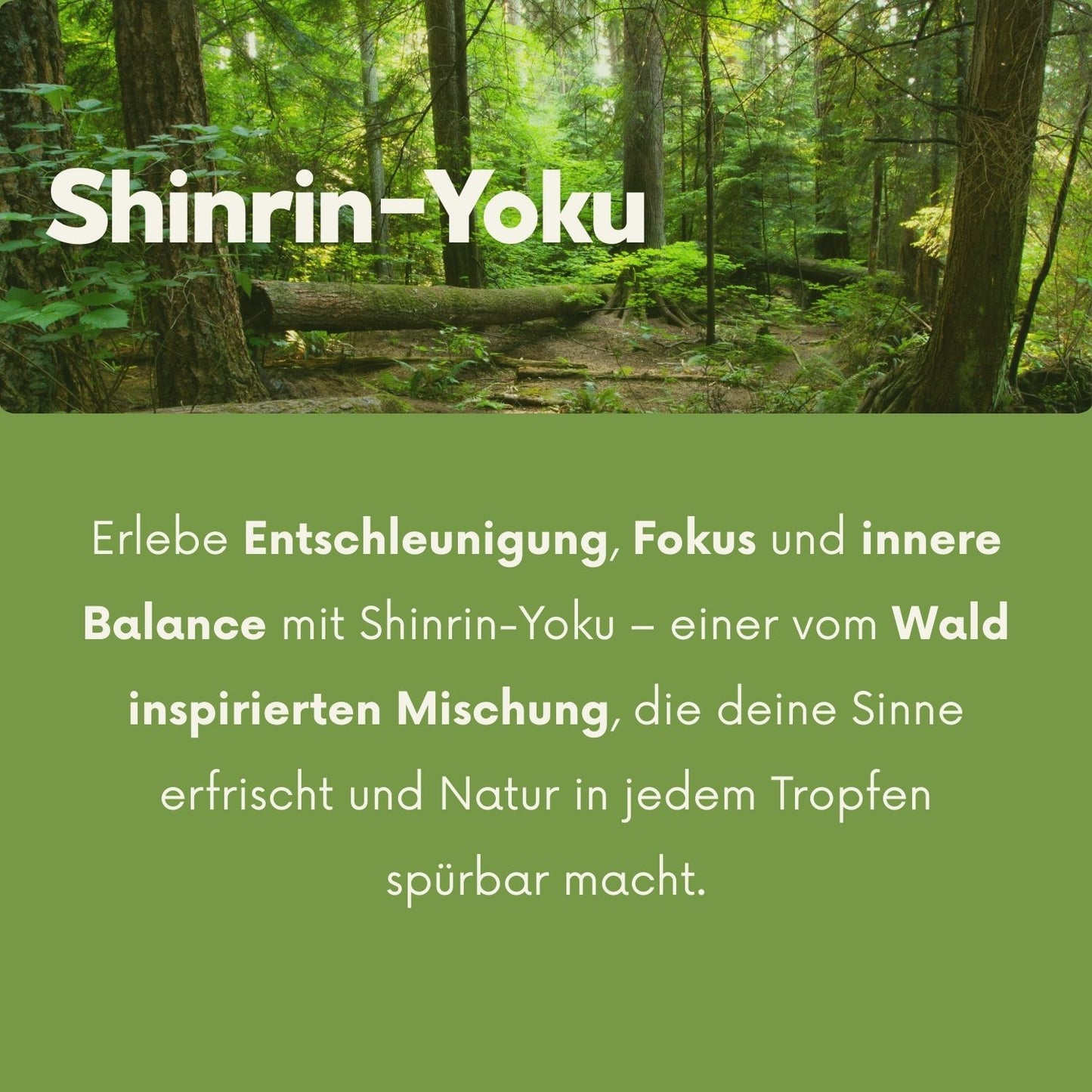 Shinrin-Yoku Roller (10 ml)