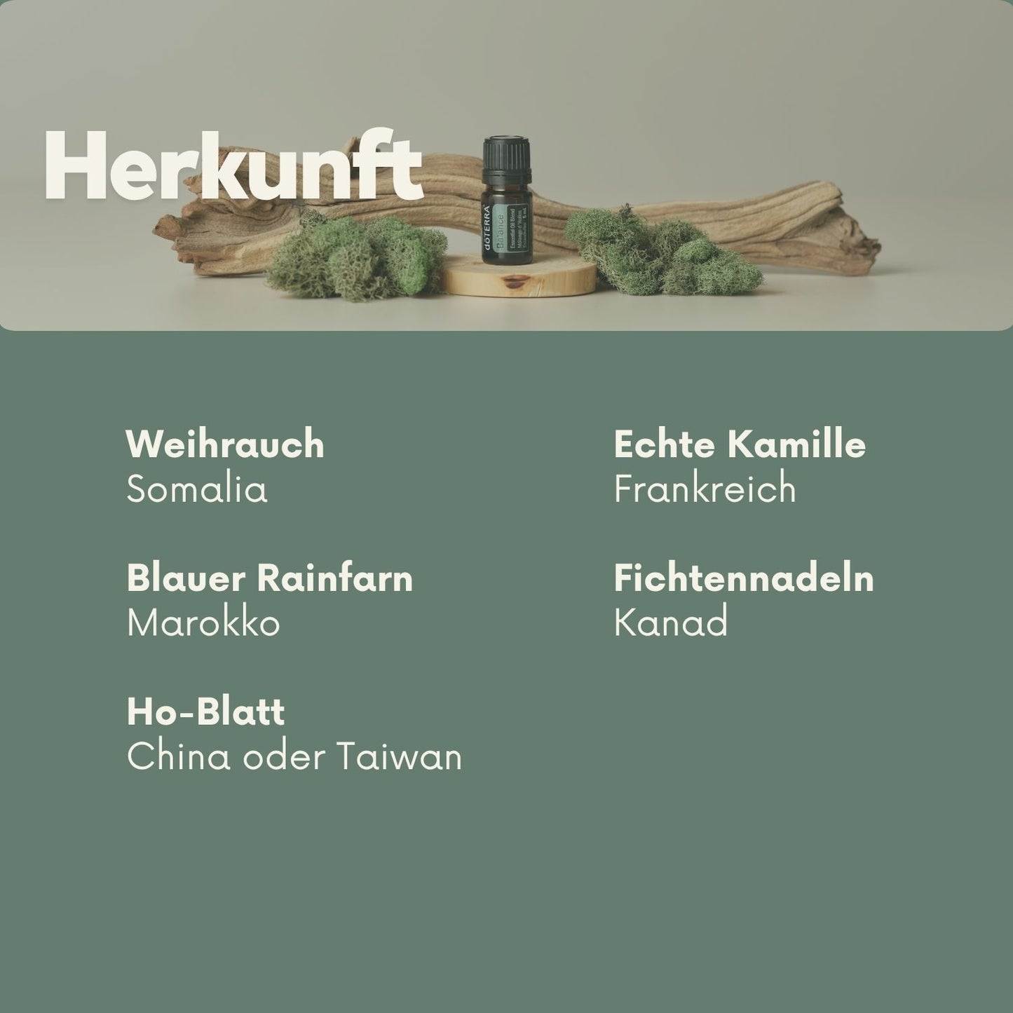Herkunft der Balance-Inhaltsstoffe: Weihrauch aus Somalia, Blauer Rainfarn aus Marokko, Kamille aus Frankreich, Fichtennadeln aus Kanada
