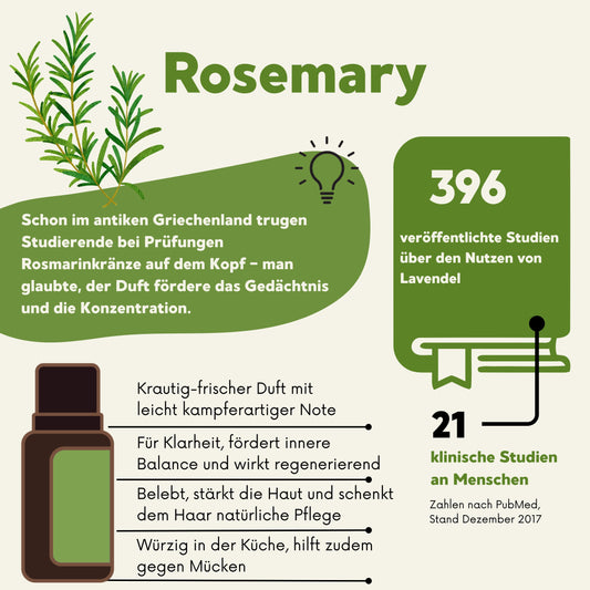 doTERRA Rosmarin Wirkung: unterstützt Gedächtnis, Konzentration, Klarheit – vielseitig für Pflege, Küche und Atemwege