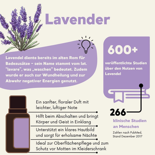 Wirkung von Lavendelöl: beruhigend, hautpflegend, schlaffördernd – über 600 veröffentlichte Studien laut PubMed