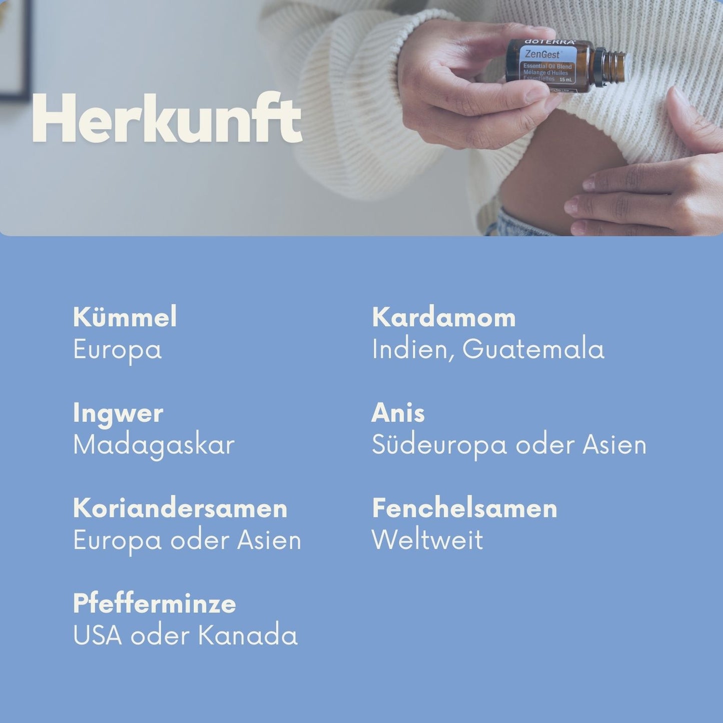 ZenGest Mischung (15 ml)