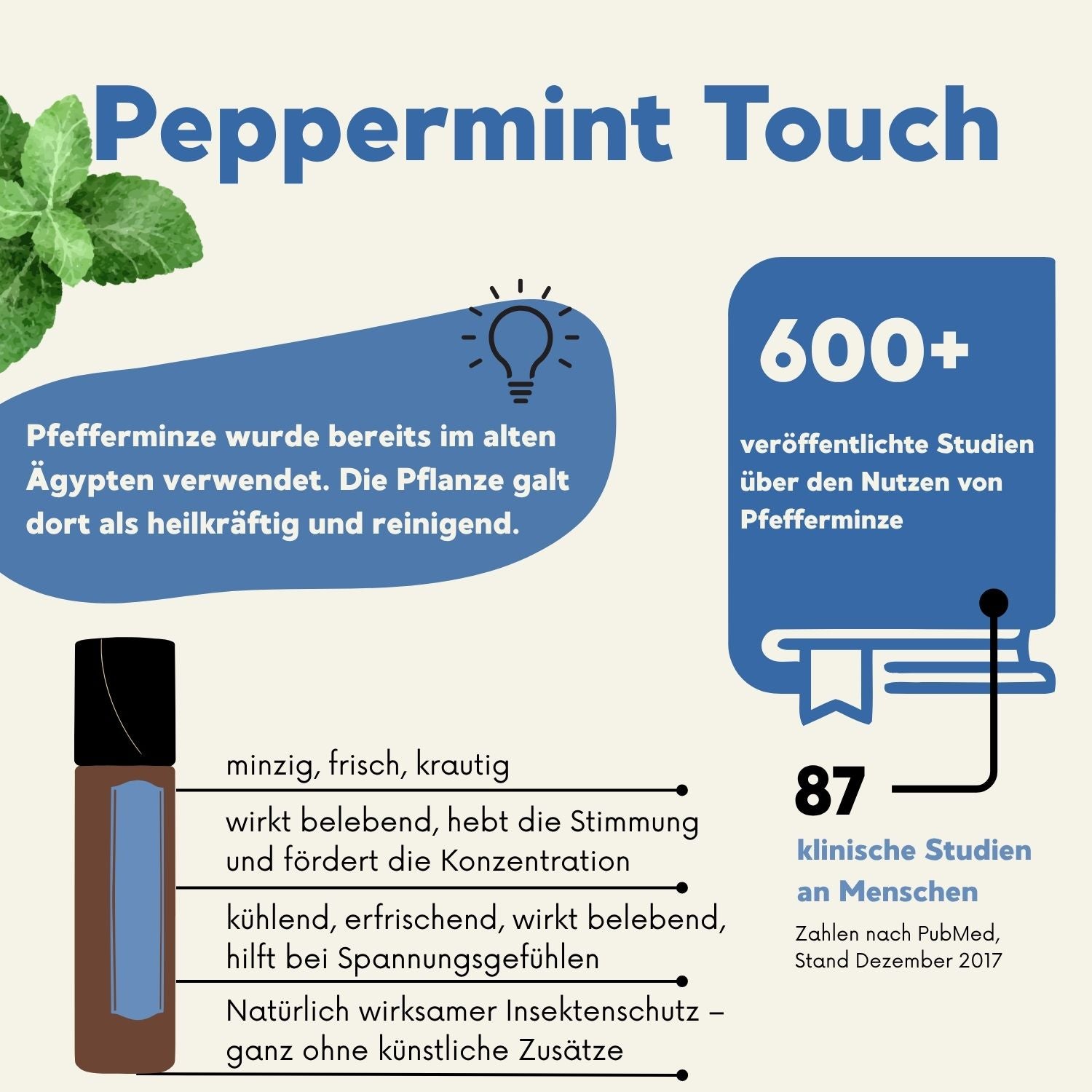 Wirkung von Pfefferminzöl – Konzentration, Erfrischung, natürlicher Insektenschutz
