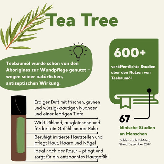 Infografik zur Wirkung von Tea Tree Öl: antiseptisch, hautberuhigend, entspannend – mit Studienreferenz und Anwendungstipps