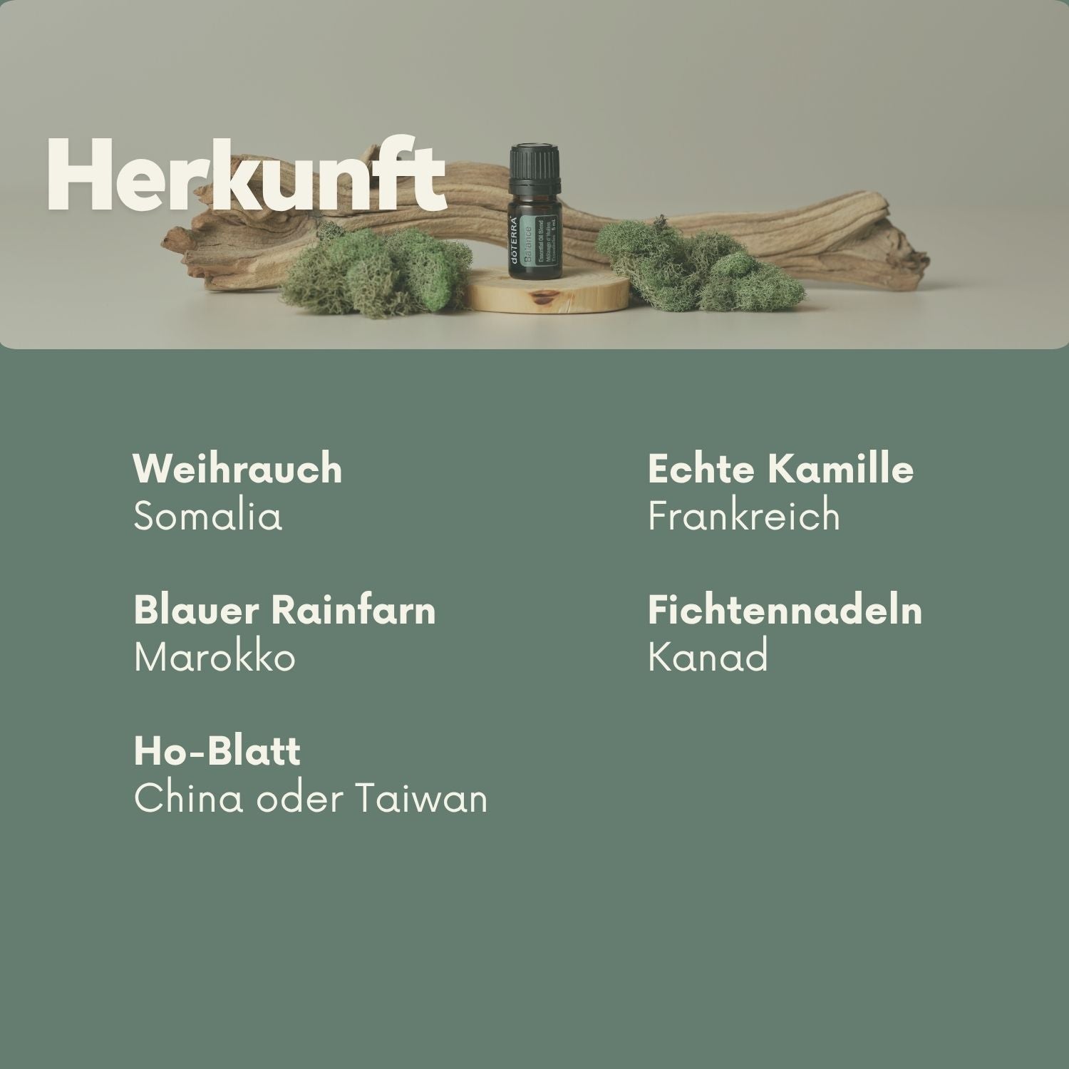 Herkunft der Balance-Inhaltsstoffe: Weihrauch aus Somalia, Blauer Rainfarn aus Marokko, Kamille aus Frankreich, Fichtennadeln aus Kanada