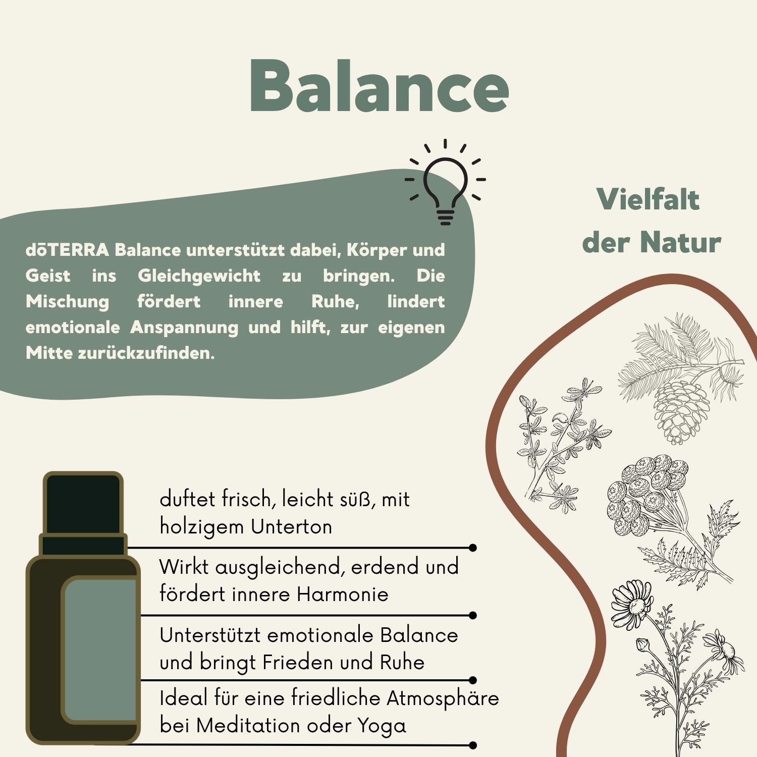 doTERRA Balance Wirkung: bringt Körper & Geist ins Gleichgewicht, fördert emotionale Ruhe und eignet sich ideal für Yoga und Meditation
