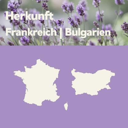 Lavendel Herkunft: Frankreich und Bulgarien – Illustration mit Lavendelblüten und Länderumrissen.